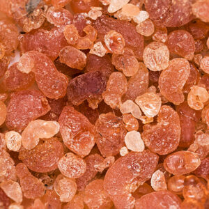 Acacia Senegal Gum Arabic - Gum Hashab