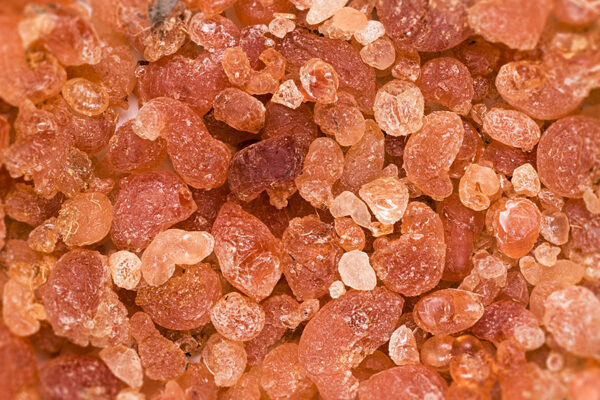 Acacia Senegal Gum Arabic - Gum Hashab